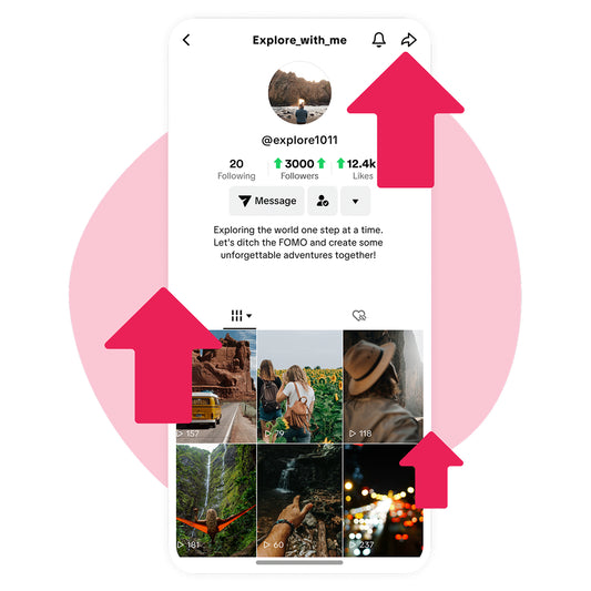 TikTok Video & Account Promotion Campaign