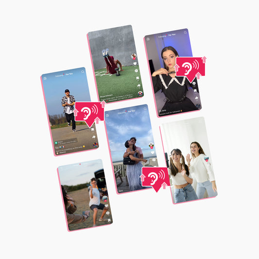Custom TikTok Music Campaign